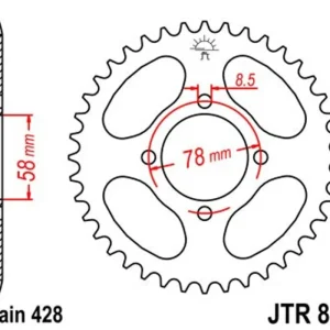 Cenově Výhodný Řetězová rozeta JT JTR 810-37 37 zubů, 428