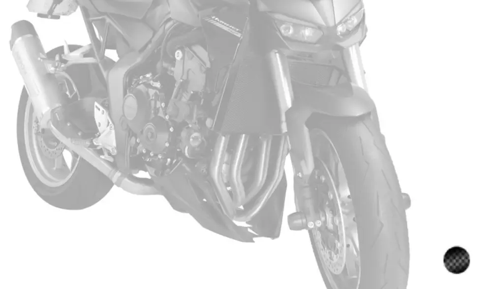 Horká Nabídka Spoiler motoru PUIG 22385C karbonový vzhled
