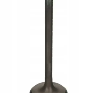 BRONCO sací ventil HONDA TRX 70 86-87, ATC 70 76-85 ocelový (23,8x5,45x64,5mm)(OEM:147-087-710) Jen Po Omezenou Doba