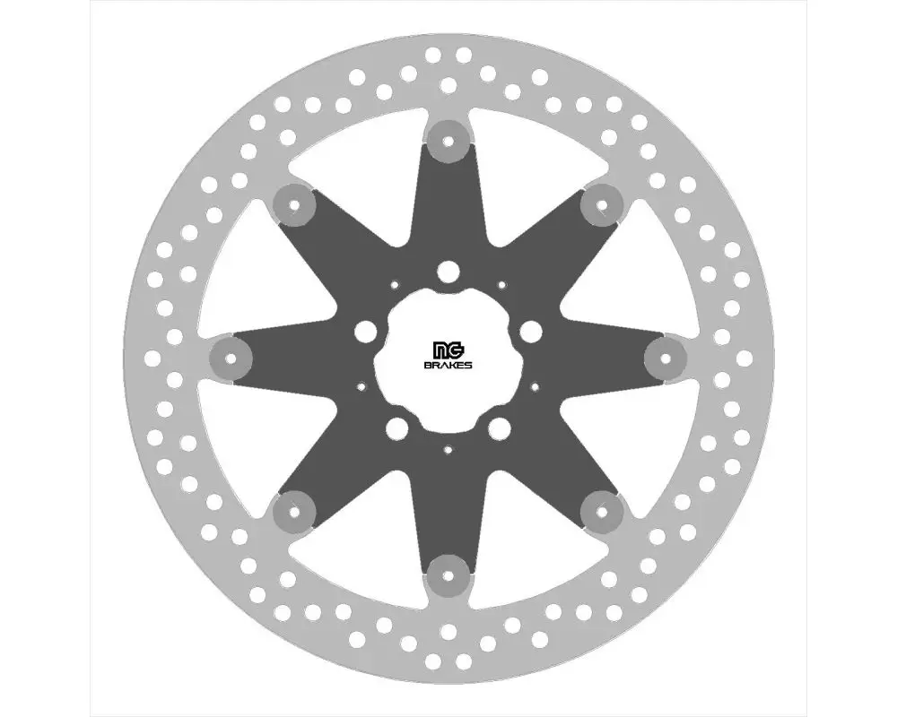 NG přední brzdový kotouč BMW R18 20-23 (300X60X5mm) (5X10,25mm) Originální