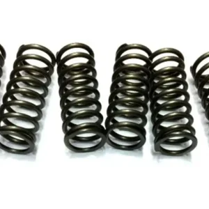 Časově Omezené JR EBS spojkové pružiny SUZUKI GP125, GT125/185/200, RG125, RM 125 76-80, TS125/185