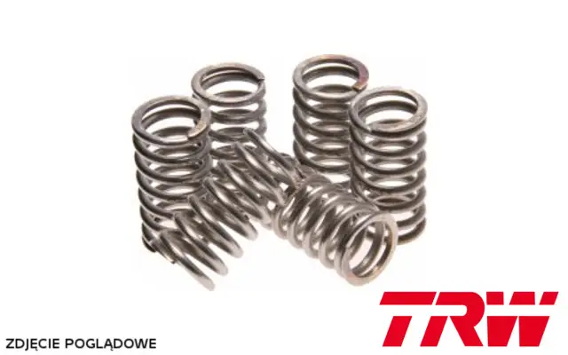 Novinka TRW ZF spojkové pružiny KTM EX / SX 125 98-16,YAMAHA YZ 125 90-99, YZ 250 88-98, YFM 350 WOLVERINE 95-05, HONDA CR 125R 84-99, CB 250 TWO FIFTY 91-02, NSR 250 R 88-89, (EBS024)
